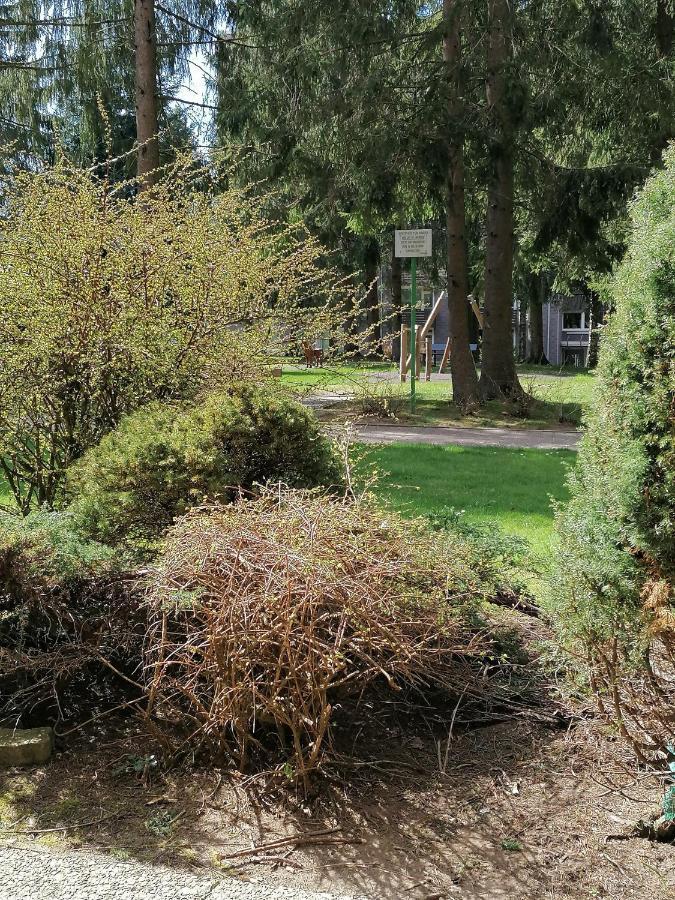 Ferienwohnung CrisAnd mit Terrasse und WLAN Altenau  Exterior foto