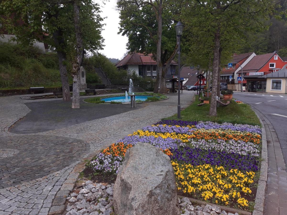 Ferienwohnung CrisAnd mit Terrasse und WLAN Altenau  Exterior foto